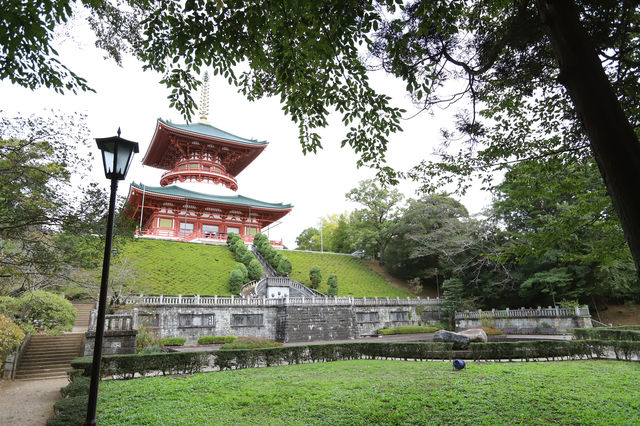 Visit Narita before your flight