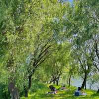 🌸 부산 화명동 힐링 산책여행코스 추천! 🌿