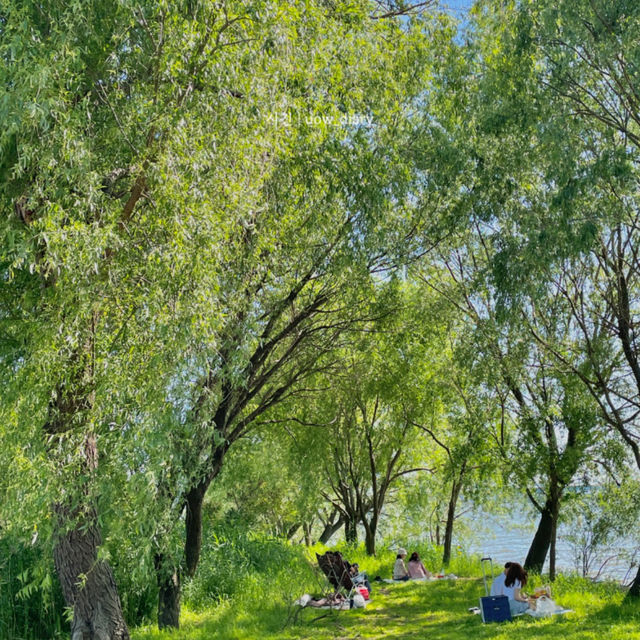 🌸 부산 화명동 힐링 산책여행코스 추천! 🌿