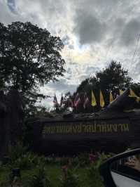 🌸 หนีเมืองกรุงมาสัมผัสธรรมชาติที่ “ชัยภูมิ” 🍃