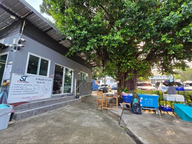 สถานที่ฮีลใจในบางไผ่ นนบุรี ตกปลาได้ ทานอาหารก็ดี