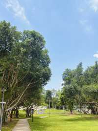 【桃園南昌森林運動公園｜小孩放電＋親子散步＋毛孩友善，一次滿足】