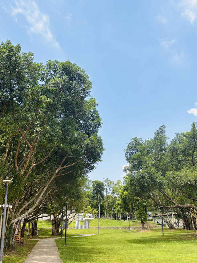 【桃園南昌森林運動公園｜小孩放電＋親子散步＋毛孩友善，一次滿足】