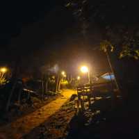 Forest Feels & Quiet Trails, Chukryeongsan Escape