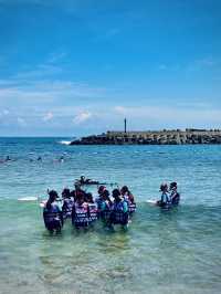 🐢小琉球探秘：海龜、珊瑚與慢活島嶼生活