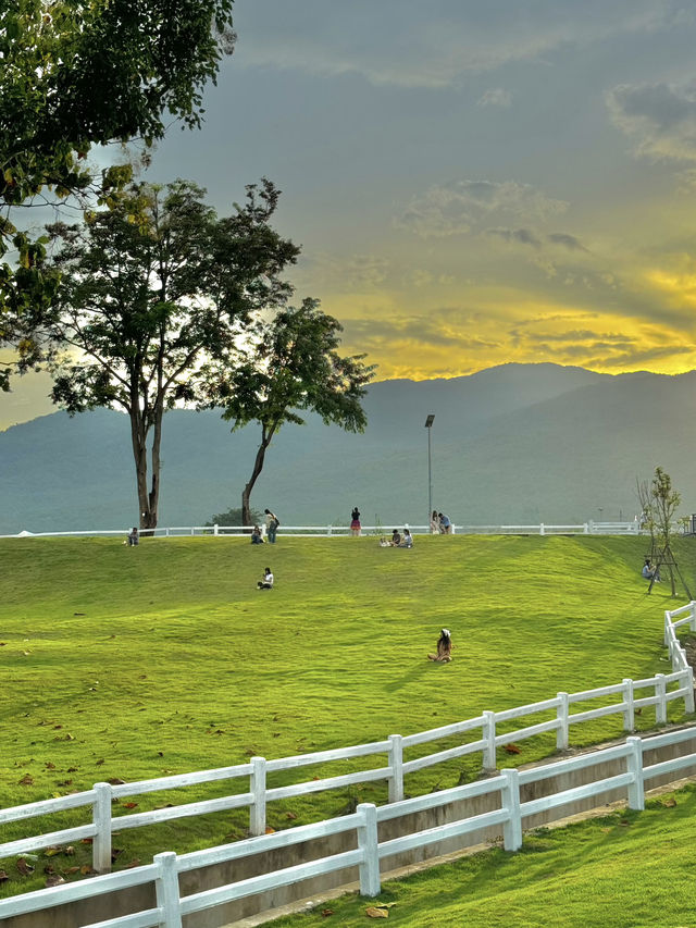นั่งชิลๆที่ สวนอบจ.เชียงใหม่ 🌳🍃