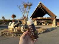 Family Fun and Fresh Milk at Rakunoh Mother’s Aso Milk Bokujo