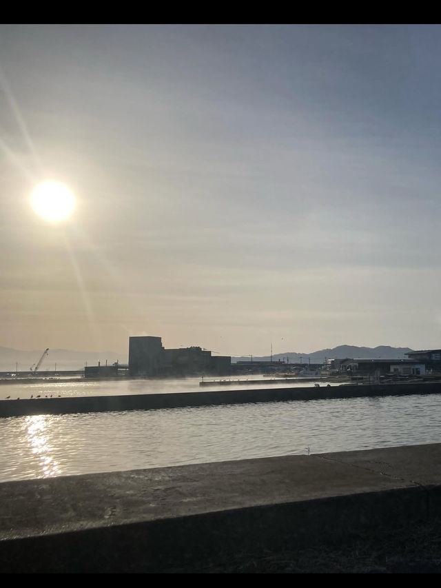 天然の生簀・氷見漁港で海の恵みを満喫🐟