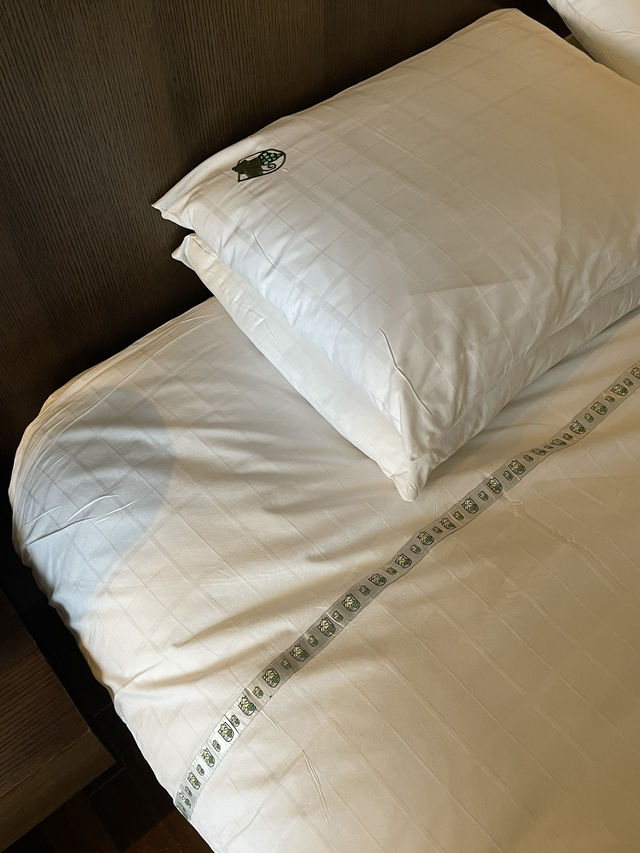 제주도 비오면 어떻게 놀지?🏝️
