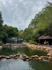 🍃✨ Philea Resort & Spa Melaka – Forest Feels with a Touch of Luxury! 🏡🌿