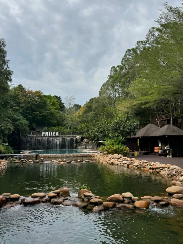 🍃✨ Philea Resort & Spa Melaka – Forest Feels with a Touch of Luxury! 🏡🌿