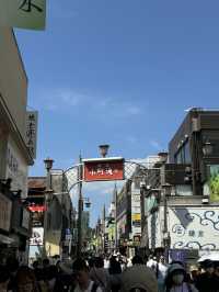🌸⛩️ 3D2N Mt. Fuji, Hakone & Kamakura Scenic Escape! 🗻🚞✨