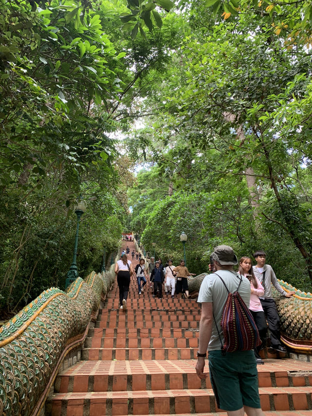 วัดพระธาตุดอยสุเทพ — จุดชมวิวเมืองเชียงใหม่