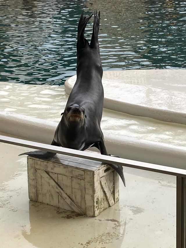 【城崎マリンワールド】海とつながる体験型水族館で、感動のひとときを🐟🎣