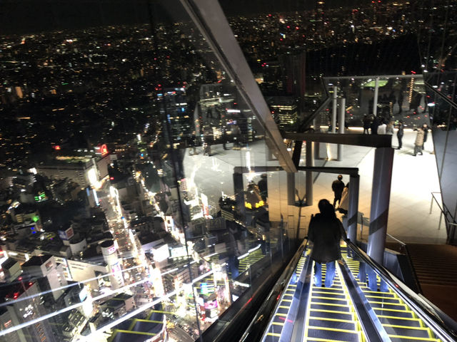 昼も夜も行きたい！渋谷sky