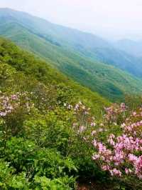 Hiked Gukmangbong Peak