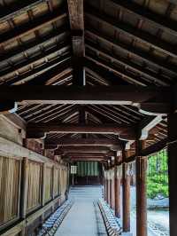 【時を司る神社⛩️】近江神宮で歴史とカルタの聖地巡礼✨