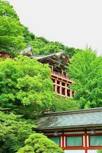 ～神聖寧靜~豐受大神宮～