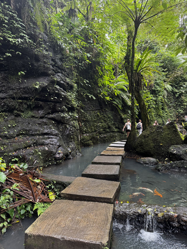 A must visit in bali! Beautiful waterfall 😍😍