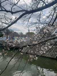 【三重】九華公園