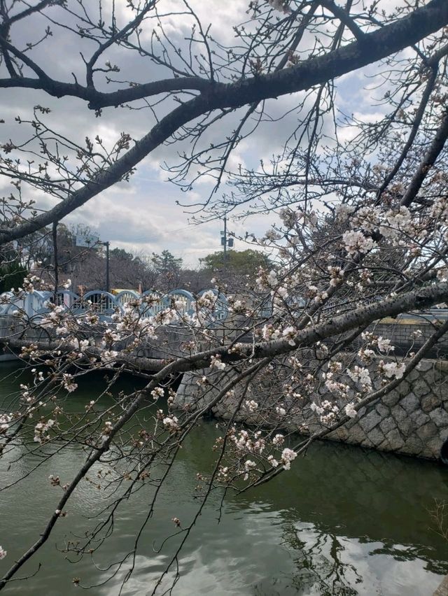 【三重】九華公園