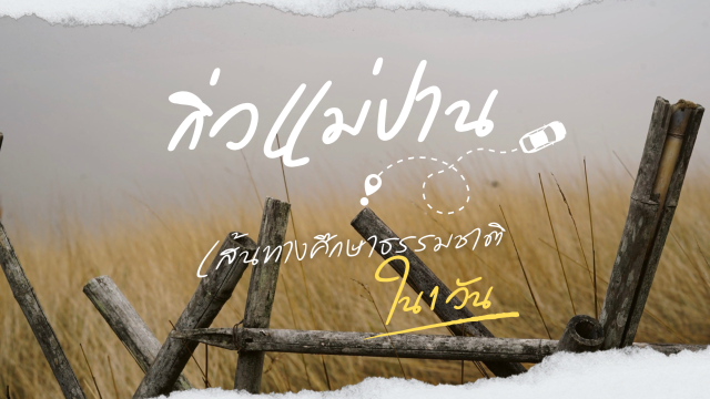 กิ่วแม่ปาน เส้นทางศึกษาธรรมชาติ ใน 1 วัน