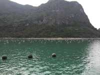 🚢🌿 Sailing Through a Dream: My Halong Bay Cruise Experience