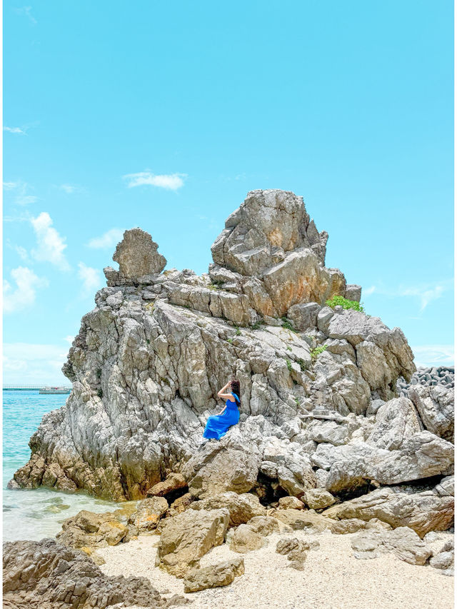【沖縄】本島北部の半日観光プラン🗓️