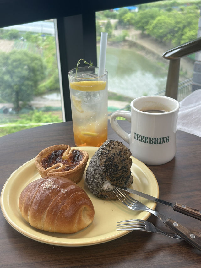 🌲 숲 속의 오아시스같은 카페 트리브링