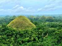 Sweet Views at Chocolate Hills