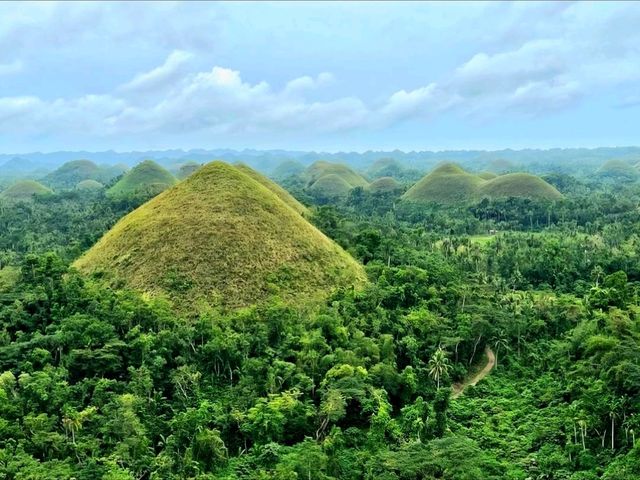 Sweet Views at Chocolate Hills