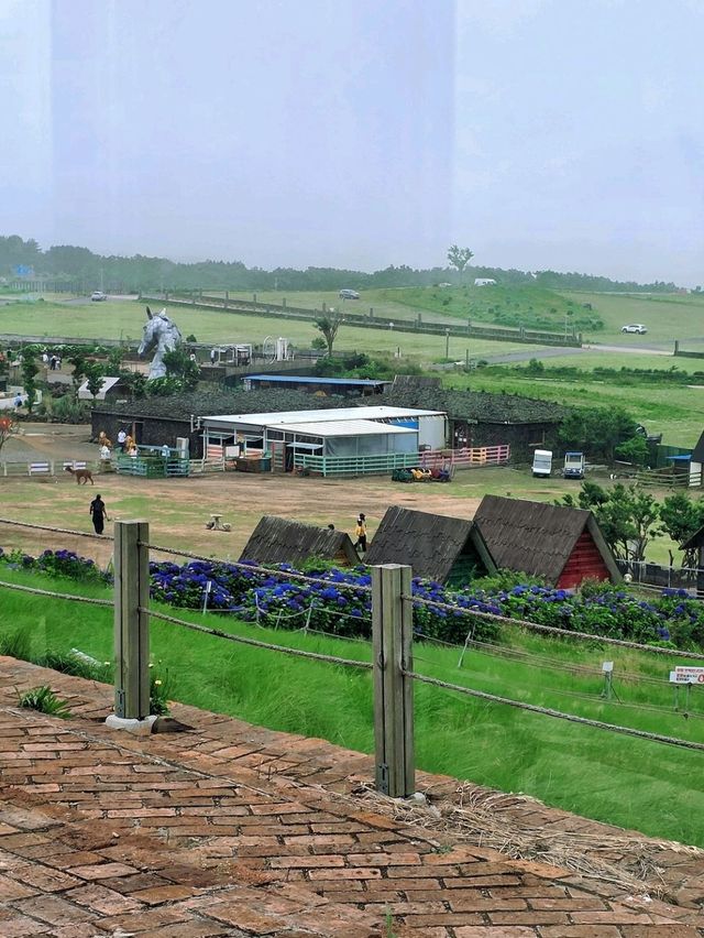 濟州估舊歐陸建築 Saebil Café (새빌카페)