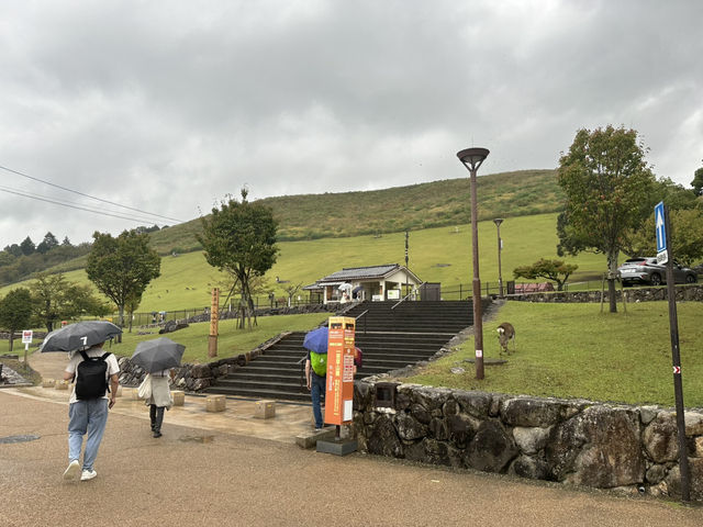 若草山：在奈良的自然懷抱中，享受壯麗的景色與心靈的寧靜！