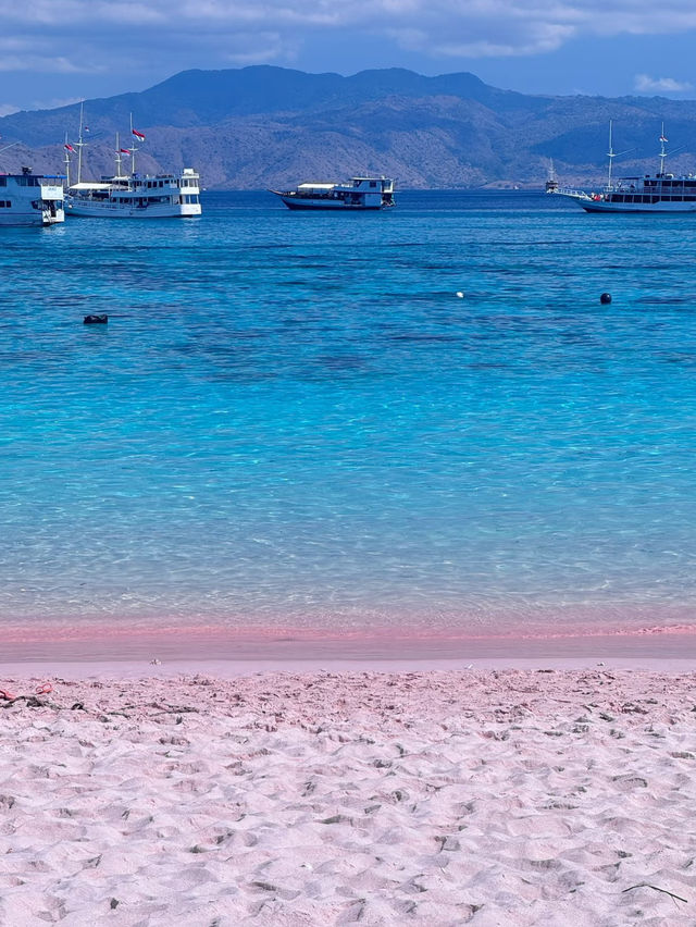 Forget Bali — Komodo Island is the Real Hidden Gem of Indonesia! 🇮🇩🐉
