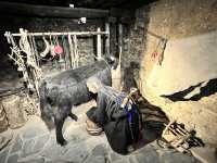 🏔️ Immerse in Tibetan Slow Life at 勒通古镇 (Letong Ancient Town), Litang