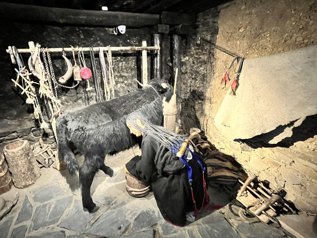 🏔️ Immerse in Tibetan Slow Life at 勒通古镇 (Letong Ancient Town), Litang