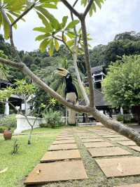 🏝️🌿 Weekend Hideaway at Pangkor Laut Resort