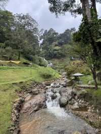 WFT Cafe Camp CNX