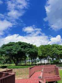 桃園市區也能遇見自然仙境 桃園 1-4 號生態埤塘｜步道、樹蔭、湖景一次滿足的城市秘境