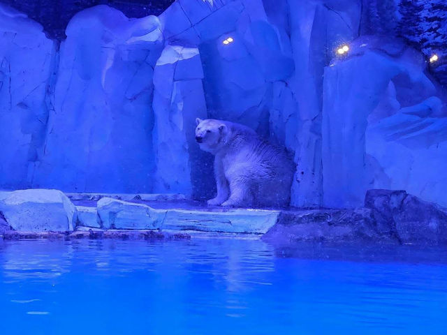 Shanghai Haichang Ocean Park สวนสัตว์น้ำเซี่ยงไฮ้