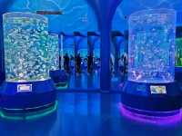 Shanghai Haichang Ocean Park สวนสัตว์น้ำเซี่ยงไฮ้