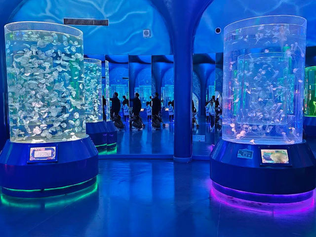 Shanghai Haichang Ocean Park สวนสัตว์น้ำเซี่ยงไฮ้