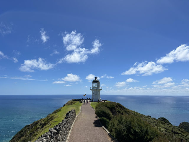 紐西蘭旅遊景點—🗺 雷恩加角燈塔｜站上紐西蘭的最北點，看見世界的邊界