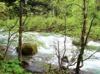 🍃 Nature’s Majesty at Sounkyo Gorge