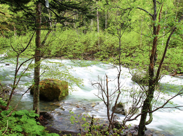 🍃 Nature’s Majesty at Sounkyo Gorge