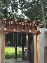 Third-Wave Nirvana: The Baristro’s Bamboo-Steamed Silence