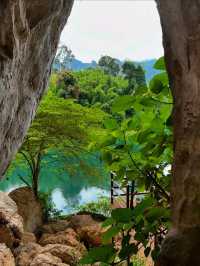 Jungle Feels & Limestone Dreams