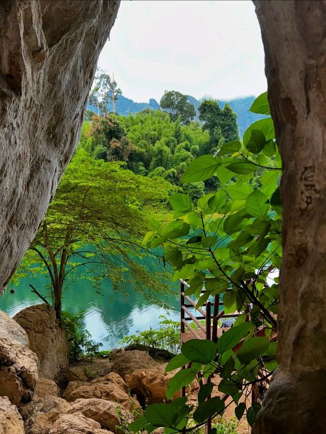 Jungle Feels & Limestone Dreams