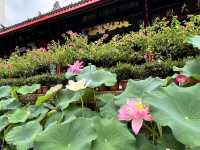 Finding Stillness in the Heart of Chengdu – A Day at Daci Temple