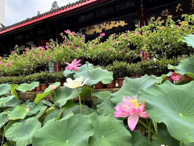 Finding Stillness in the Heart of Chengdu – A Day at Daci Temple